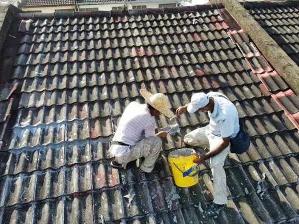 Roof Leaks Repair JB 6